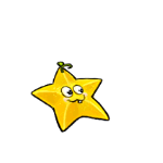 星星果