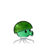 水滨菇