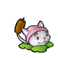 猫尾草